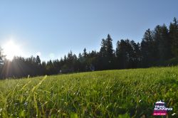 2024-08-24 KTRE 2024 -074123-DSC_0928